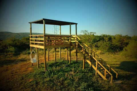 View