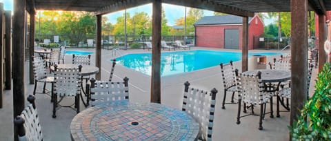 Swimming pool [outdoor]