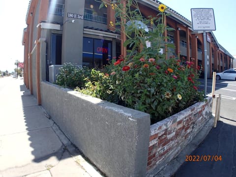 Corona Inn Hotel in Corona