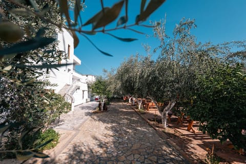 Lider Hotel Hotel in Ksamil