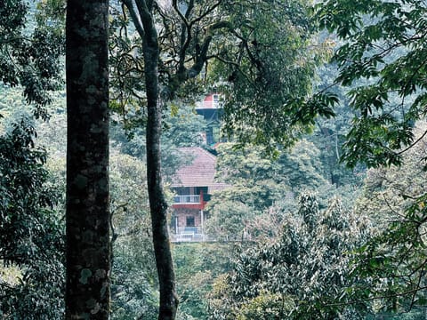 Exterior view
