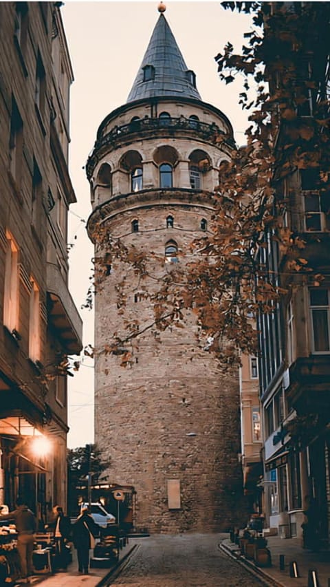 View