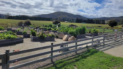 Pub in the Paddock Hotel in Tasmania