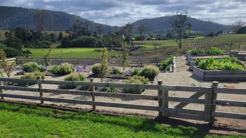 Pub in the Paddock Hotel in Tasmania