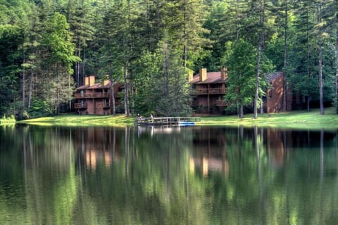 Surrounding environment