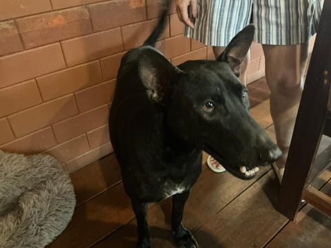 Seaside Cottages and Restaurant Resort in Mai Khao