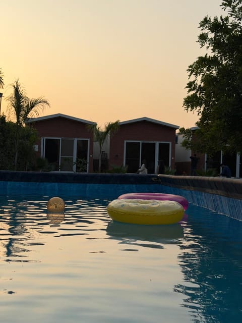 The Birds Villa Hotel in Jaipur