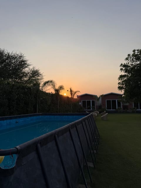 The Birds Villa Hotel in Jaipur