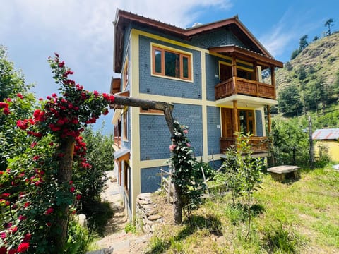 Property view