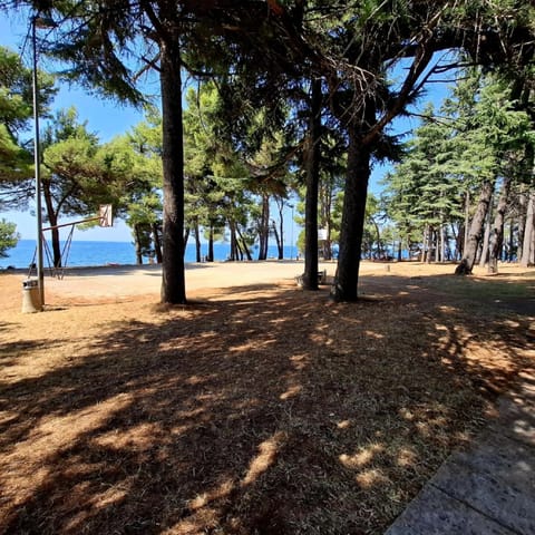 Hostel Pinesta Hostel in Novigrad