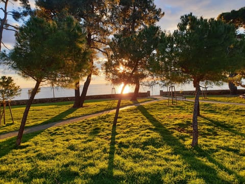 Hostel Pinesta Hostel in Novigrad