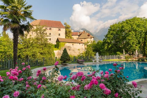 Swimming pool [outdoor]