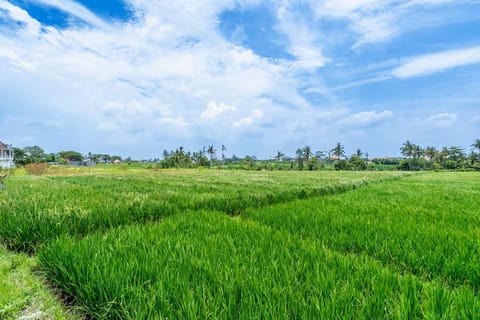 Villa Wedas Resort in Mengwi