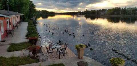Property view