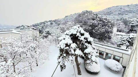 Beijing Fragrant Hill Hotel Hotel in Beijing