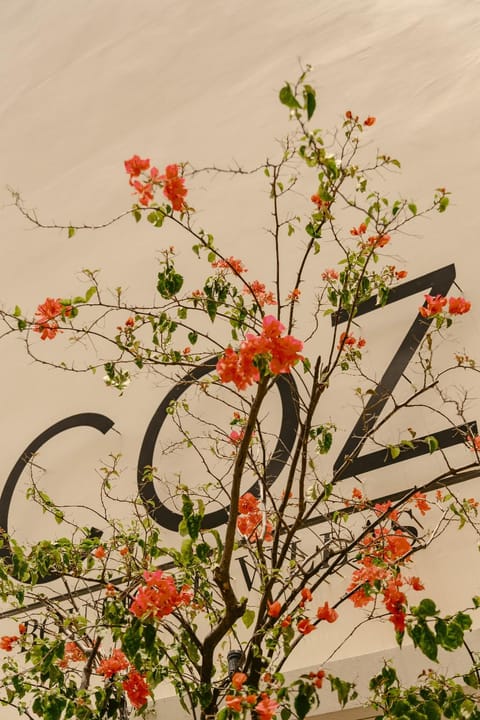 COZ Bali Boutique Villas Hotel in Bali