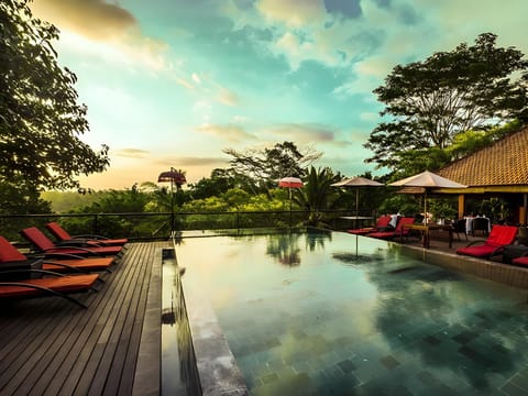 Swimming pool [outdoor]