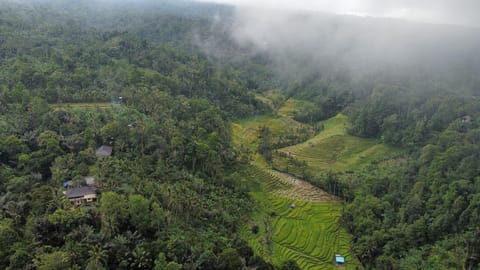 Surrounding environment