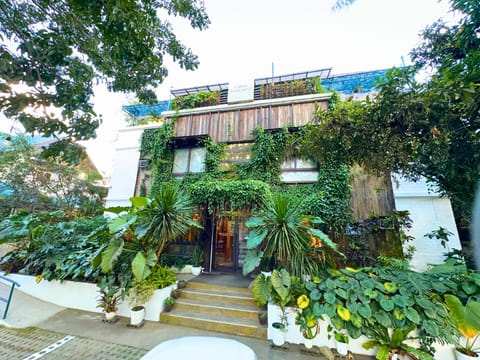 Exterior view