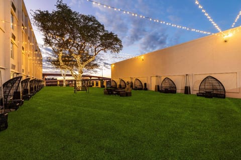 Wyndham DFW Airport Hotel in Irving