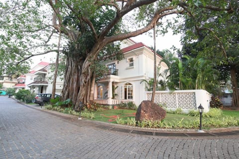 Exterior view