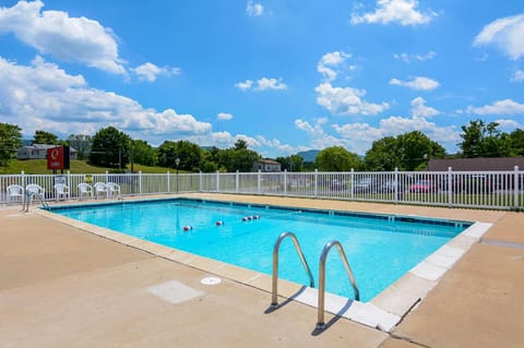 Swimming pool [outdoor]