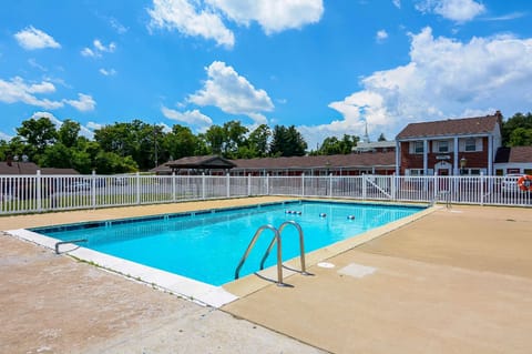 Swimming pool [outdoor]