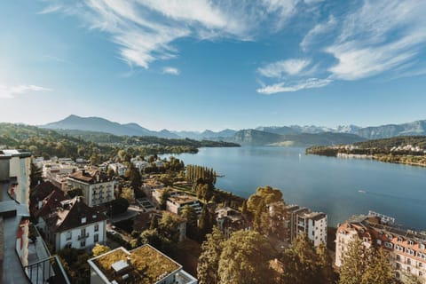 View