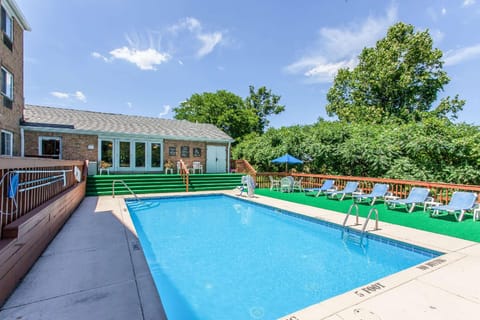 Swimming pool [outdoor]