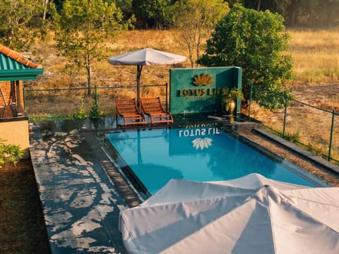 Swimming pool [outdoor]
