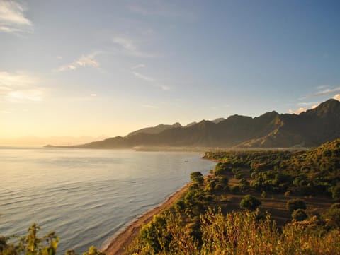 Tiara Homestay Pemuteran Bali Apartment hotel in Bali