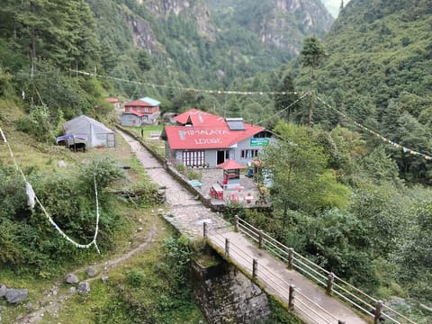 Property view