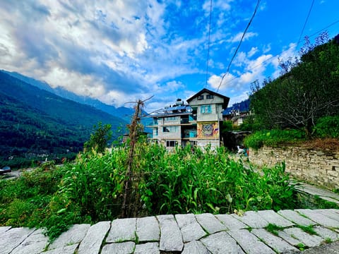 Property view