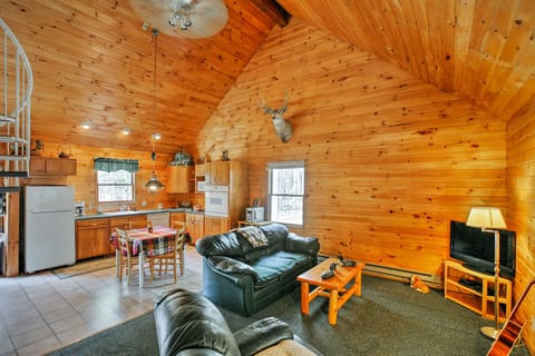 Private South Boardman Cabin on 10 Forest Acres! House in Michigan