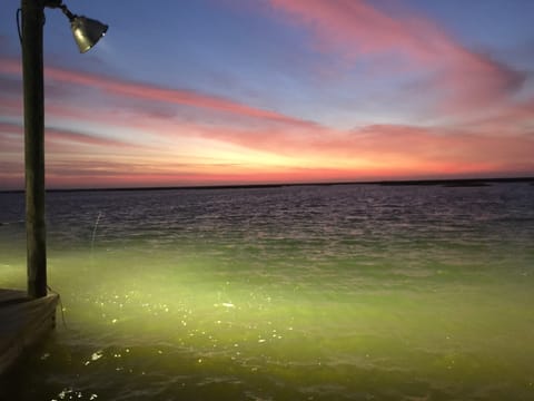'Little Blue Crab' Quaint Slidell Home: Near Lakes Cottage in New Orleans