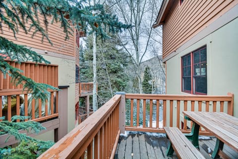 Cozy Avon Retreat w/ Private Deck & Pool Access! Apartment in Avon