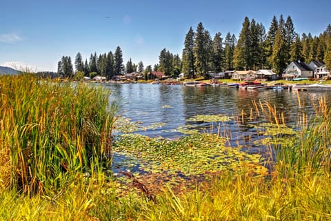 Newport Cabin w/ Lakefront Private Porch & Grill! House in Washington