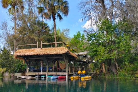 Dock & Kayaks: Riverfront Dunnellon Home! House in Dunnellon