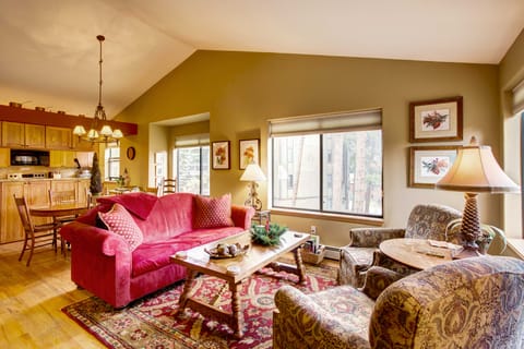 Private Hot Tub + Deck: Breckenridge Abode! House in Breckenridge