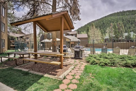 Ski Shuttle & Mountain Views: Keystone Resort Home Apartment in Keystone