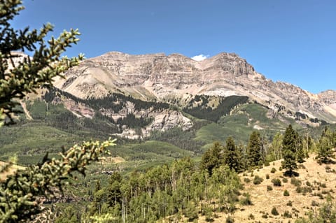 Mountain Village Home Steps to Ski Lift & Shuttle! Apartment in Telluride