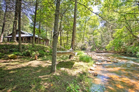 'Clearwater Cabin' on 10 Acres w/ Trout Stream! House in Shenandoah Valley