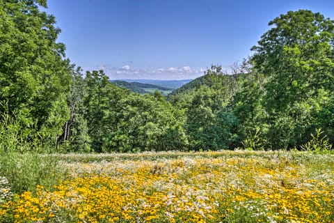 La Crescent Cottage on Minnesota Bluffs w/ View! Cottage in Wisconsin