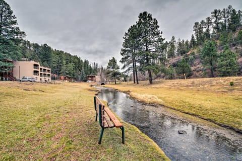 Cozy Ruidoso Condo by Grindstone Lake + Skiing! Apartment in Ruidoso