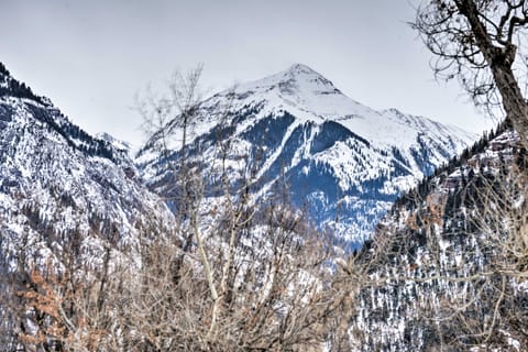 Cozy Home w/ Mountain Views Near Ouray Hot Springs House in Colorado