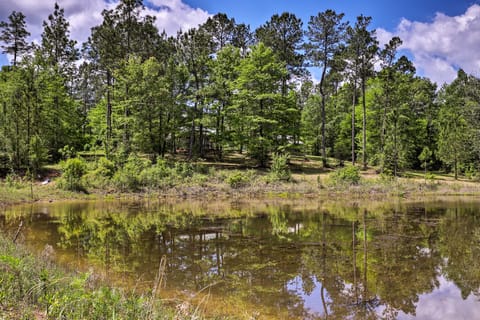 Secluded Cabin w/ Pond ~ 37 Mi to Gulf Coast! House in Mississippi