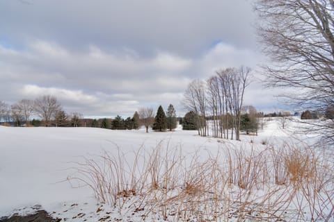 Bellaire Townhome on Summit Mtn w/ 2 Balconies! Apartment in Michigan