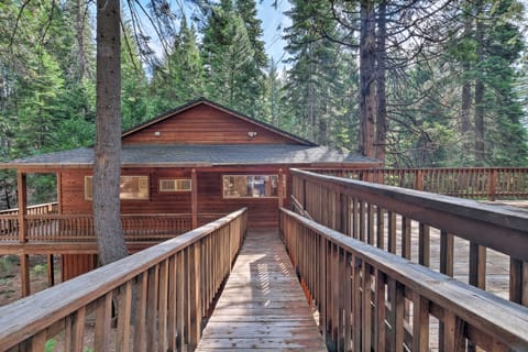 Walk to Big Trees State Park: Cabin w/ Deck! House in Dorrington