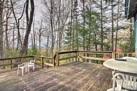 Private Rustic Home - 6 Mi to Bromley Mountain! House in Landgrove