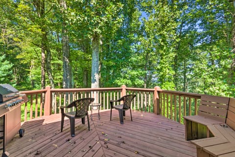 Hendersonville 'Cantrell Cottage' - Smoky Mtn View Apartment in Laurel Park